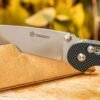 Ganzo D727M-BK Folding Knife